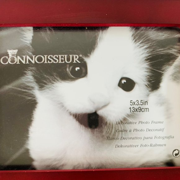Connoisseur Accents Photo Frame Curious Kitty Cat 5"x3.5" Maroon Tabletop Desk - Picture 10 of 11
